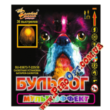 SU-03673 - Бульдог SU-03673 - Бульдог